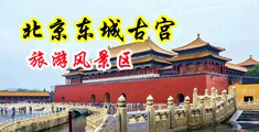www噢噢噢噢无码中国北京-东城古宫旅游风景区